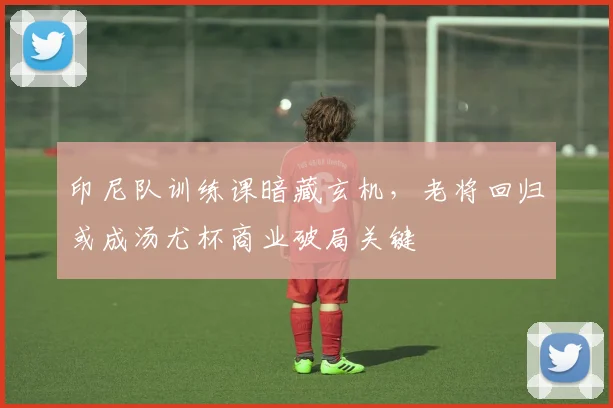 印尼队训练课暗藏玄机，老将回归或成汤尤杯商业破局关键 - 搜狐体育