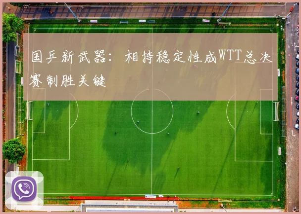 国乒新武器：相持稳定性成WTT总决赛制胜关键 - 搜狐体育