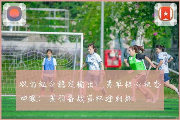 双打组合稳定输出，男单核心状态回暖：国羽备战苏杯迎利好 - 搜狐体育