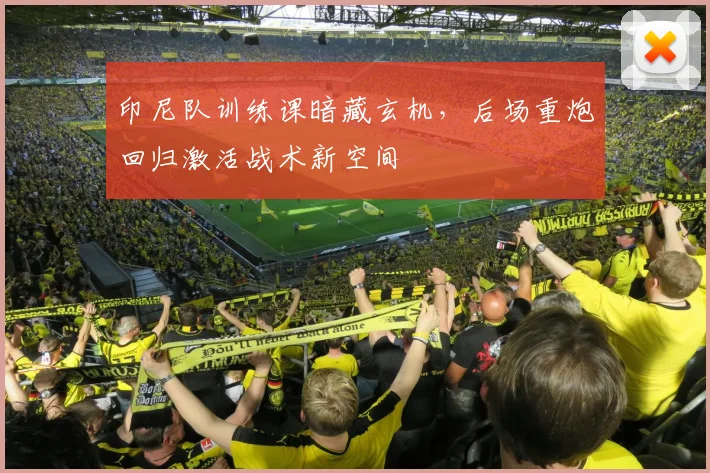 印尼队训练课暗藏玄机，后场重炮回归激活战术新空间 - 搜狐体育