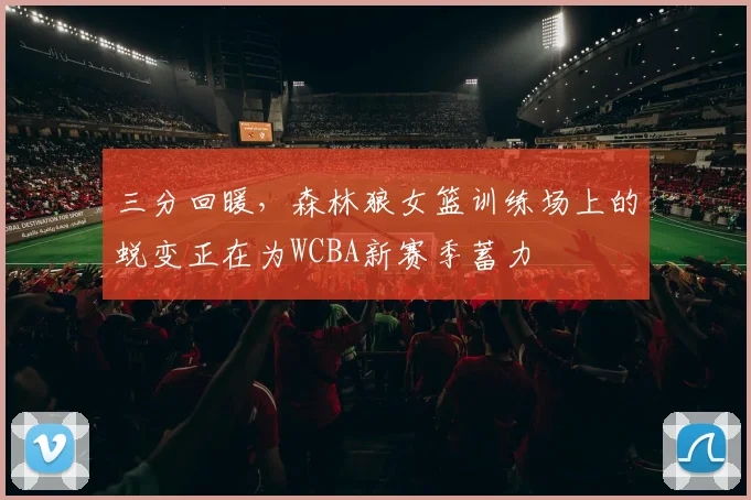 三分回暖,森林狼女篮训练场上的蜕变正在为WCBA新赛季蓄力